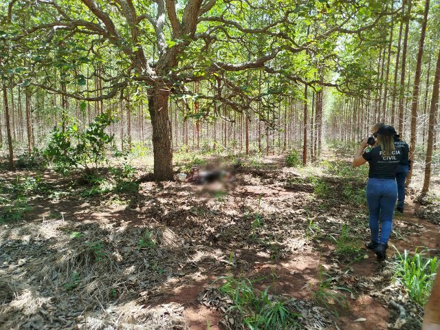 Corpo é encontrado decapitado e polícia tenta identificar vítima